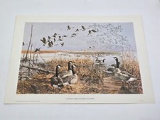 Vtg 1973 art for sale  Middletown