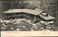 Nicaragua finca café gebraucht kaufen  Berlin