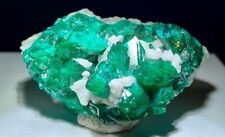 Dioptase republic congo for sale  Cleveland