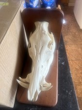 Wild boar hog for sale  Victoria