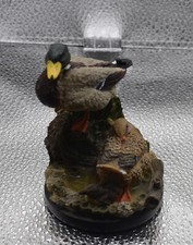 The country bird usato  Sormano