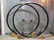 Campagnolo mirage fondriest for sale  NEWTON ABBOT