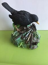 Blackbird near bunch for sale  SHANKLIN