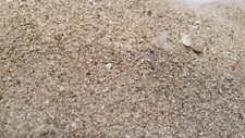 Sand paguera strand gebraucht kaufen  Detmold