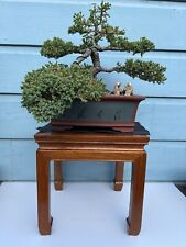 Vintage chinese ming for sale  Daly City