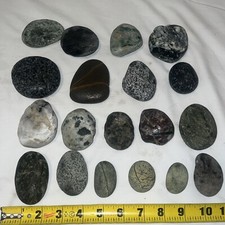 Pnw river large for sale  Crescent City