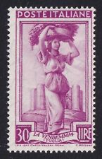 Italy 1955 grape for sale  WARWICK