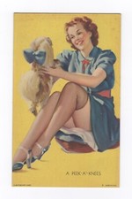 Mutoscope pinup peek for sale  Royersford