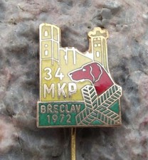1972 hunting dog for sale  MACHYNLLETH