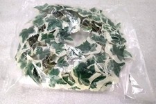 6ft variegated ivy for sale  LINCOLN
