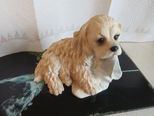 Dog money box. for sale  HUNGERFORD