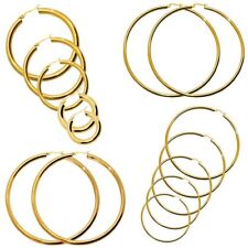 Creolen edelstahl golden gebraucht kaufen  Kreischa