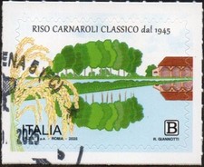 Italia 2025 riso usato  Italia