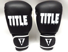 Title boxing dynamic for sale  Pen Argyl