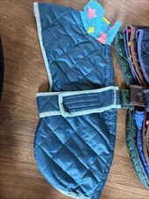 Whippet coat inch for sale  NEWTON ABBOT