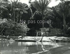 Indiens 1950 guyane d'occasion  Paris V