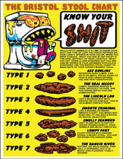 Bristol stool chart for sale  LYTHAM ST. ANNES