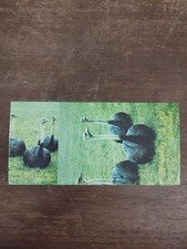 Cartolina non spedita usato  Martinsicuro
