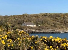 Dog friendly self for sale  KIRKCUDBRIGHT