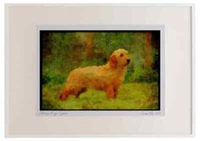 415037 basset fauve usato  Spedire a Italy