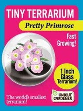 Tiny flowering terrarium for sale  HUDDERSFIELD
