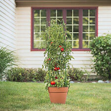 Tomato plant support for sale  Shipping to Ireland