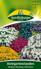 Steingartenstauden niedrige mi gebraucht kaufen  Pulheim