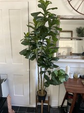Tall fake plant for sale  TUNBRIDGE WELLS