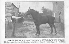 Cpa bretagne hippique d'occasion  Claira
