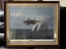 f 14 tomcat for sale f 14 tomcat for sale KINGSWINFORD