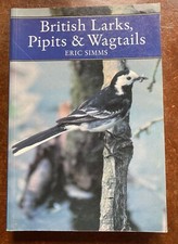 British larks pipits usato  Villarbasse