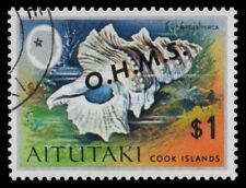 AITUTAKI O13 (SG O13) - Conchas "Biplex perca" OHMS (pa20418) comprar usado  Enviando para Brazil