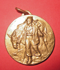 Alpini gruppo salmerie usato  Torino