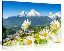 Mountain landscape daisies for sale  LONDON