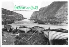 Vintage old photograph for sale  BEWDLEY