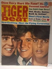 Vtg tiger beat for sale  Wyckoff