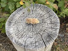 Selenite mineral specimen for sale  Boulder