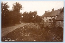 West wittering elms for sale  MANSFIELD