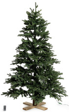 Led weihnachtsbaum nordmanntan gebraucht kaufen  Fürth