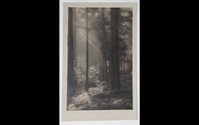 Carte photo gerardmer d'occasion Carte photo gerardmer d'occasion  Narbonne
