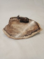 Petrified wood slice for sale  PRESCOT