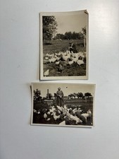 1920s antique photo for sale  Sevierville