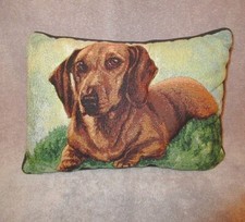Linda picken dachshund for sale  Tucson