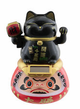 Grand chat japonais d'occasion  Ardres