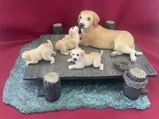 Yellow lab family for sale  San Jose