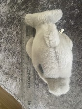 Dolphin soft plush for sale  SPALDING