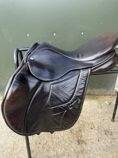 Intouch brown jumping for sale Intouch brown jumping for sale  BELPER