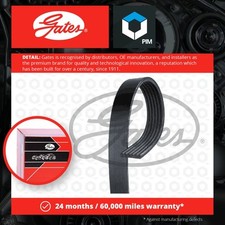 6 Rib Multi V Drive Belt 6PK975 Gates 60625590 5750FW 5750YQ 5750YS 1229549 New for sale  UK