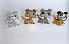 Petshop lot chiens d'occasion  Pfastatt