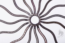 Glitzervariation stelle gebiss gebraucht kaufen  Salzwedel